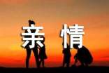 亲情作文(合集)