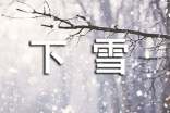 【精品】下雪的日记锦集七篇