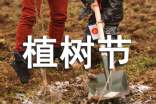 植树节的作文【锦集5篇】