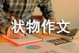 关于状物作文